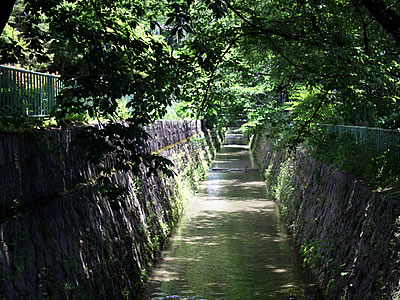 自然の風景