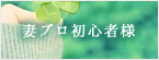 ȃvSҗl